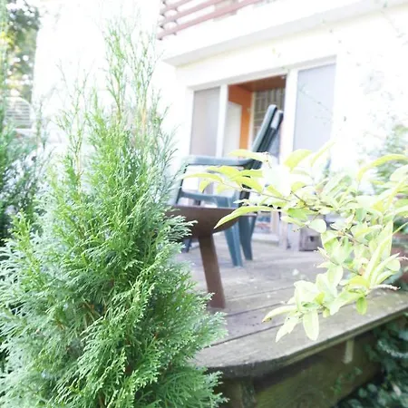 Kunstler-wohnung Homestay
